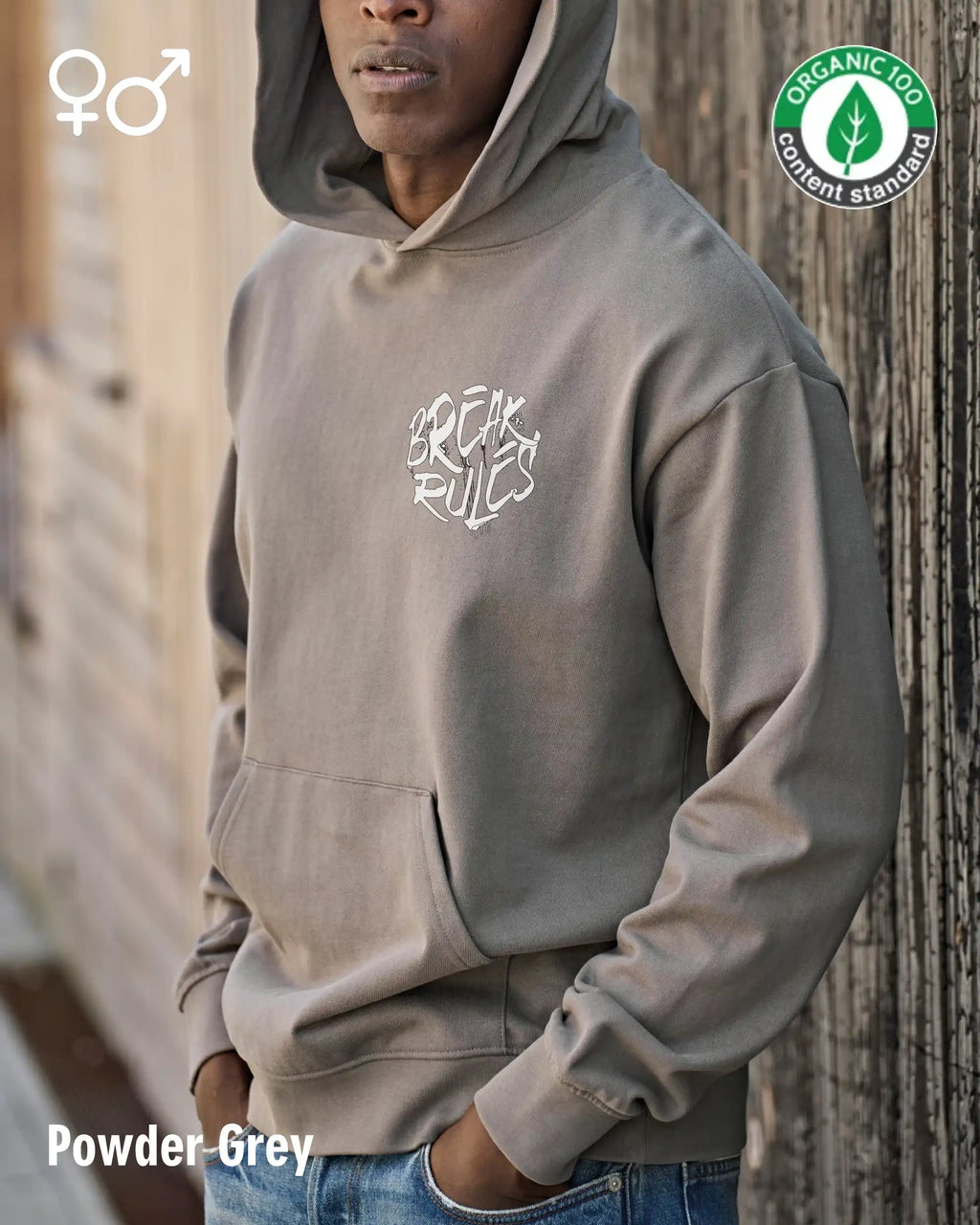 die Abbildung zeigt einen Mann, der das Tee Jays Heavy Loose Fit Hooded Sweatshirt 5162 in der farbe powder grey mit dem design "break rules" trägt..