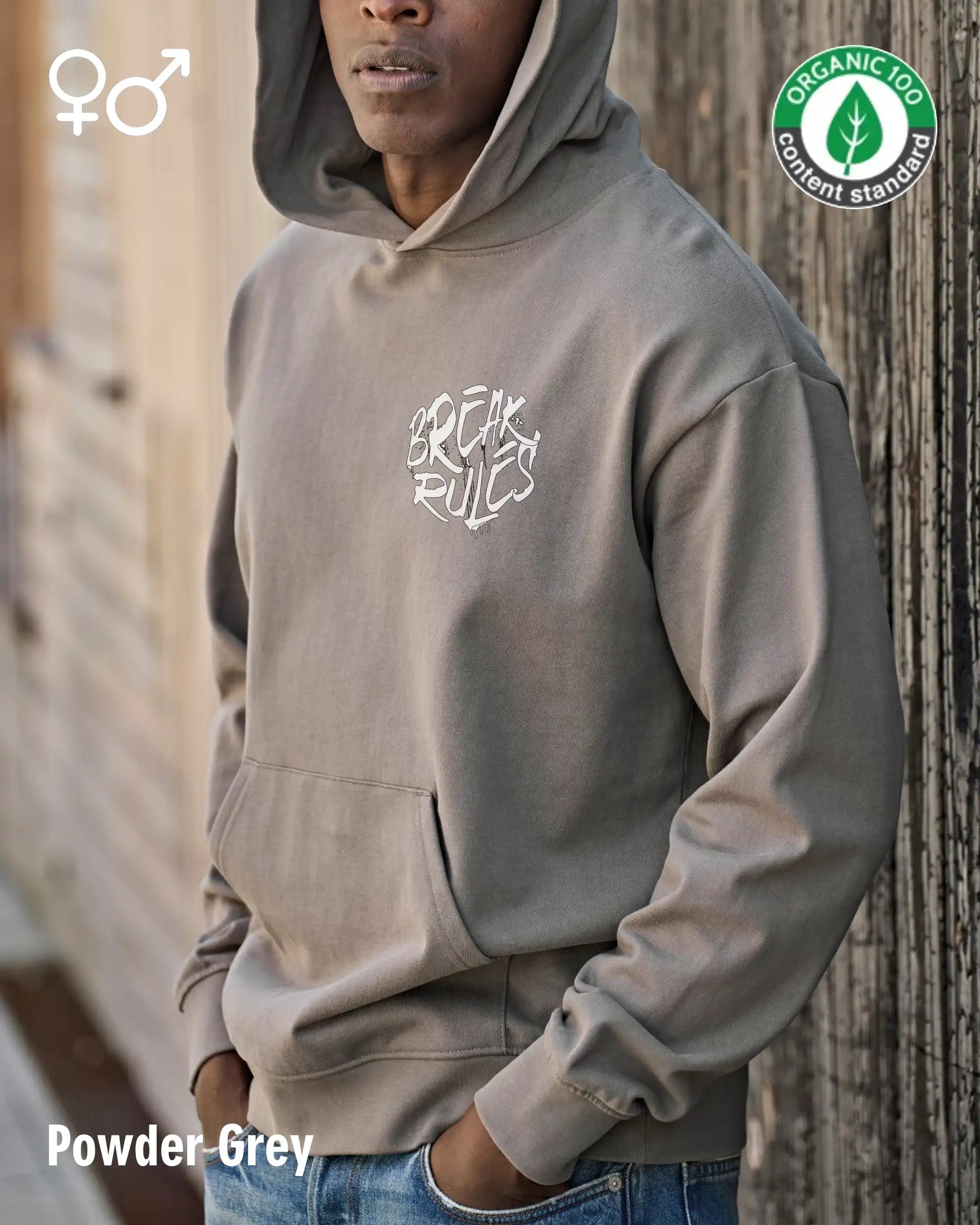 die Abbildung zeigt einen Mann, der das Tee Jays Heavy Loose Fit Hooded Sweatshirt 5162 in der farbe powder grey mit dem design "break rules" trägt..